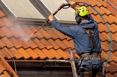 Démoussage et hydrofuge de toiture au Mesnil-Saint-Denis
